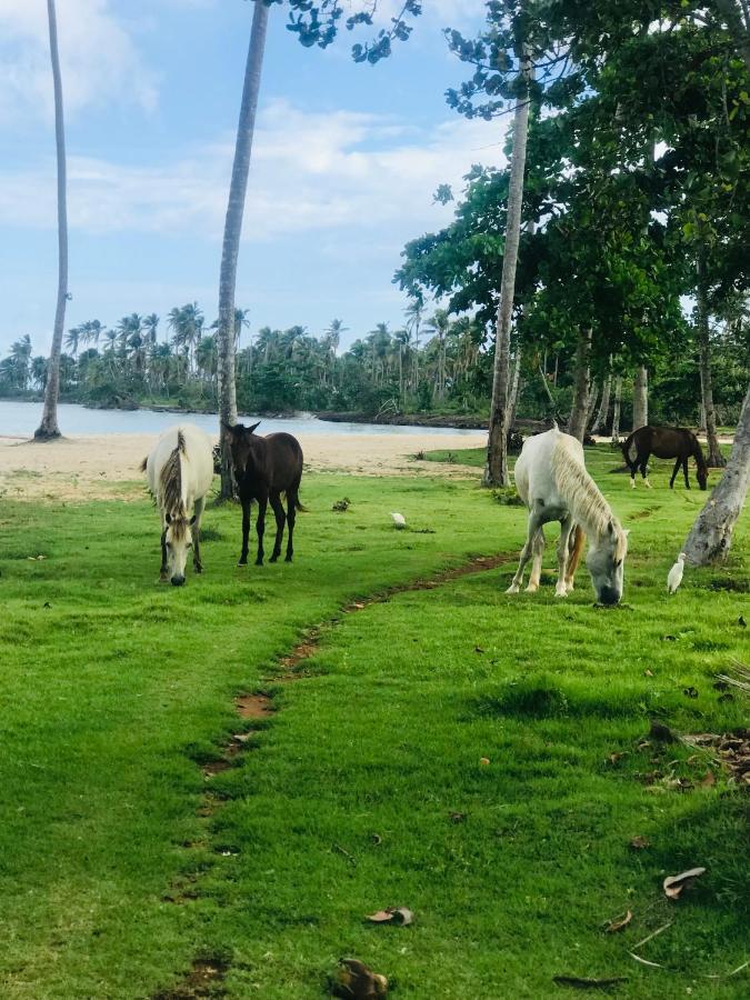 Oasis En La Naturaleza Rancho Alto Bonito 拉斯加勒拉斯 外观 照片