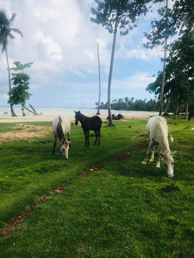 Oasis En La Naturaleza Rancho Alto Bonito 拉斯加勒拉斯 外观 照片